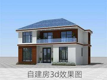 自建房3d效果图