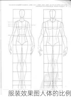 服装效果图人体的比例-第3张图片-铁甲装修网