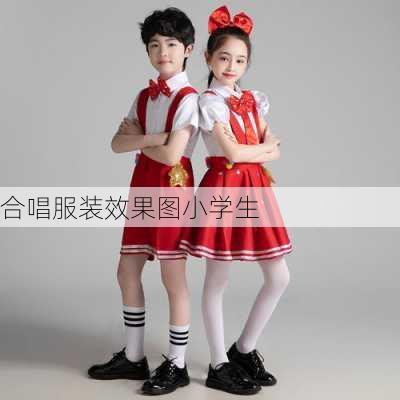 合唱服装效果图小学生-第2张图片-铁甲装修网