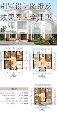 别墅设计图纸及效果图大全建飞设计-第3张图片-铁甲装修网