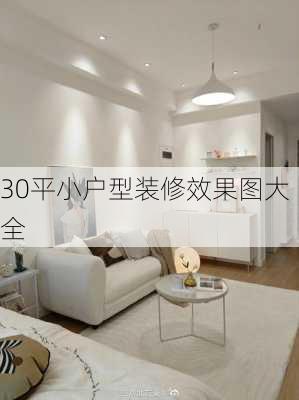 30平小户型装修效果图大全-第3张图片-铁甲装修网