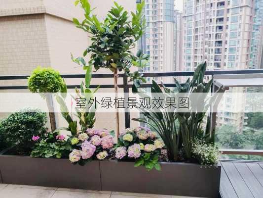 室外绿植景观效果图-第3张图片-铁甲装修网