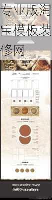 专业版淘宝模板装修网-第1张图片-铁甲装修网