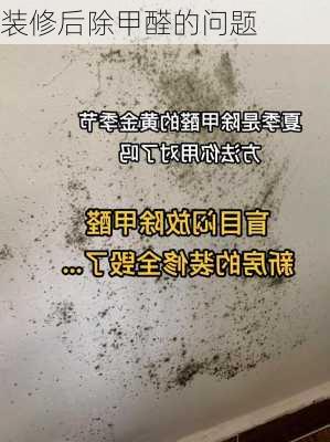 装修后除甲醛的问题-第3张图片-铁甲装修网