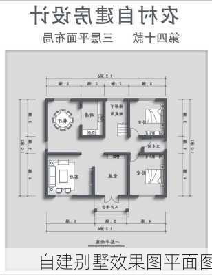 自建别墅效果图平面图